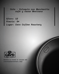 Cata-coloquio con MARCHANTIA.MX: café y cacao mexicano