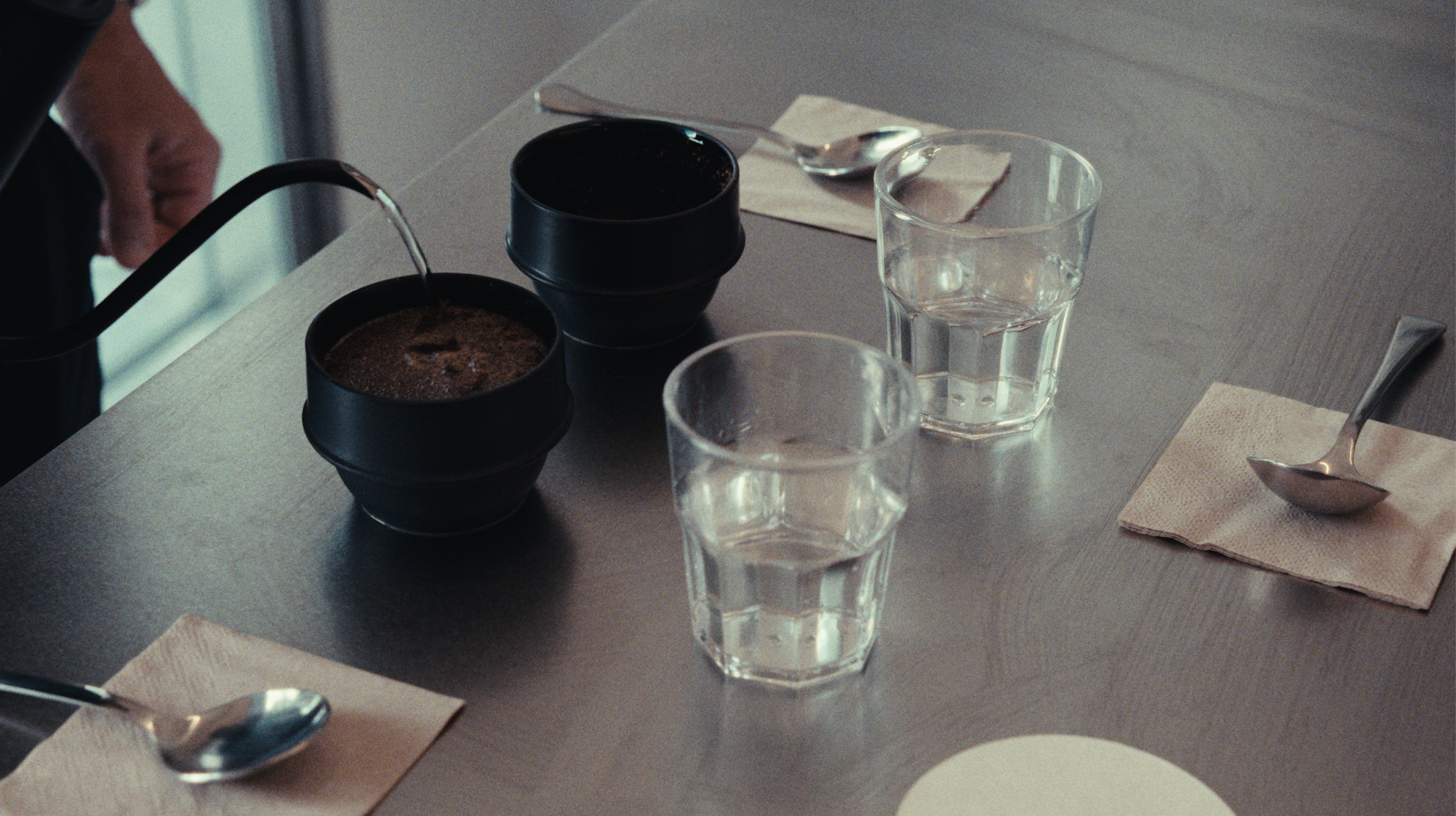 Experiencia de cata de café