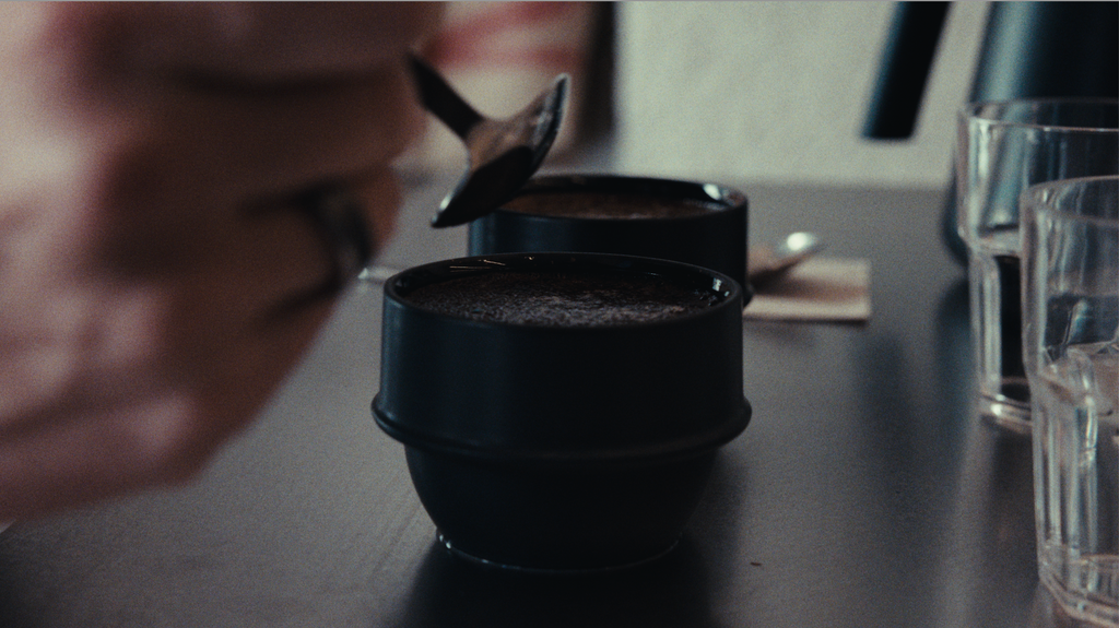 Experiencia de cata de café