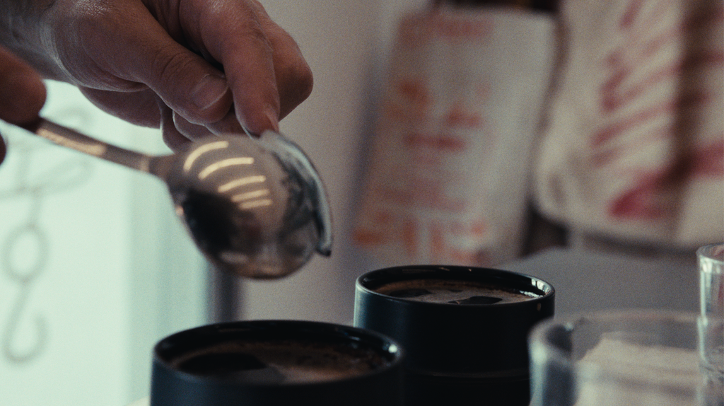 Experiencia de cata de café